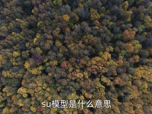  su模型是什么意思
