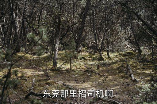 東莞清溪找送貨司機，誰知道東莞清溪鎮這邊那個廠再找司機