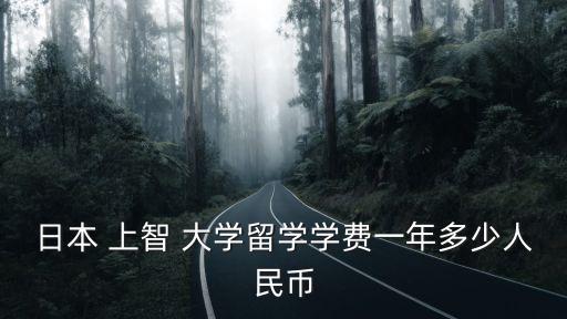 日本 上智 大學留學學費一年多少人民幣