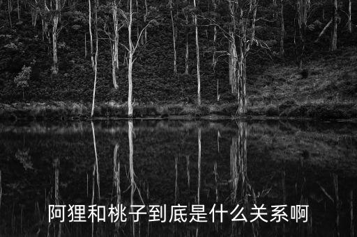阿貍和桃子，阿貍與桃子的故事