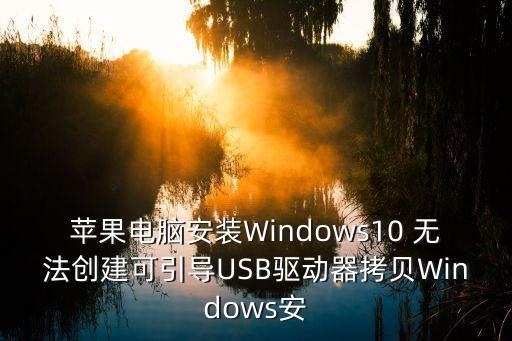 蘋果電腦安裝Windows10 無法創建可引導USB驅動器拷貝Windows安