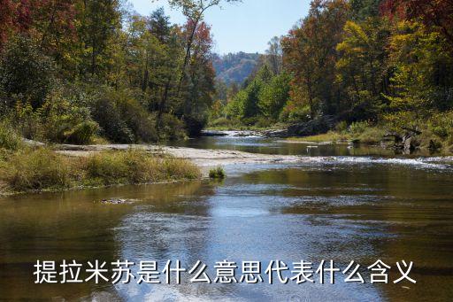 提拉米蘇是什么意思代表什么含義