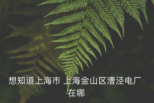 想知道上海市 上海金山區(qū)漕涇電廠 在哪