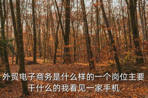 外貿電子商務是什么樣的一個崗位主要干什么的我看見一家手機