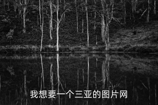 我想要一個三亞的圖片網