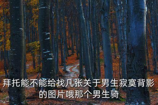 孤獨的背影圖片，求一圖片一個人在雪地中顯得很孤獨的背影