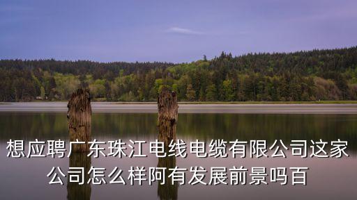 想應(yīng)聘廣東珠江電線電纜有限公司這家公司怎么樣阿有發(fā)展前景嗎百