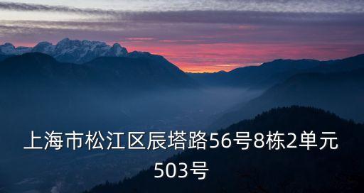 上海市松江區辰塔路56號8棟2單元503號