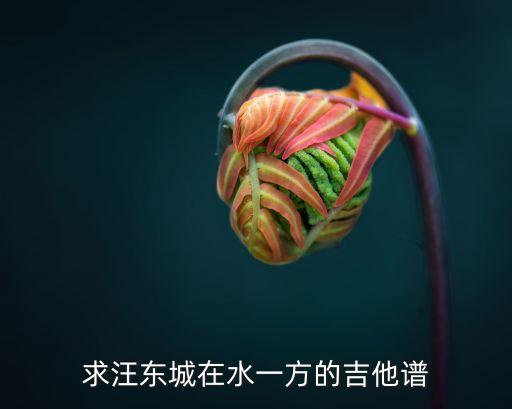 在水一方吉他譜，有誰知道終極一家里大東唱的那個在水一方的吉他曲五線譜