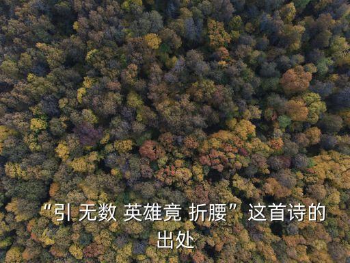引無數英雄競折腰,《山河有這么多美人》北京風光總評