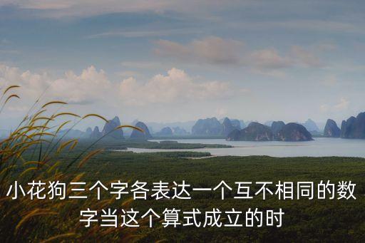 小花狗三個字各表達一個互不相同的數(shù)字當這個算式成立的時