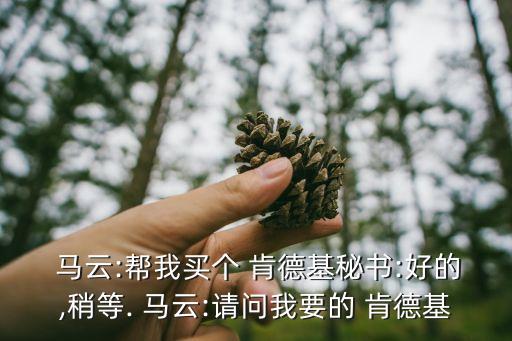 馬云肯德基,馬云不買全肯德基只買不全麥當(dāng)勞業(yè)務(wù)