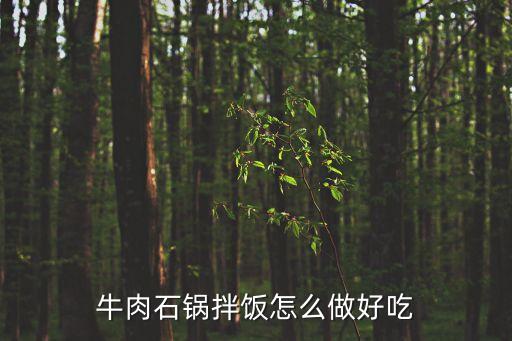 牛肉石鍋拌飯怎么做好吃