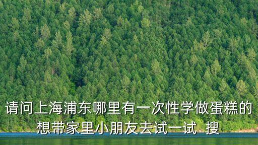 請問上海浦東哪里有一次性學做蛋糕的想帶家里小朋友去試一試  搜