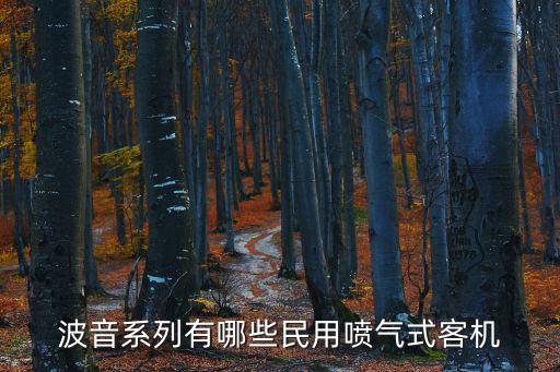 民用飛機，波音系列有哪些民用噴氣式客機