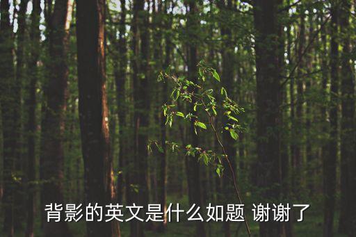 背影英文，背影的英文是什么如題 謝謝了