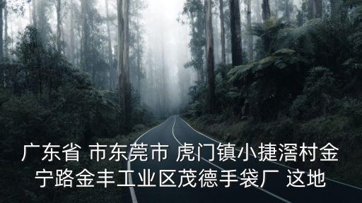 廣東省 市東莞市 虎門鎮(zhèn)小捷滘村金寧路金豐工業(yè)區(qū)茂德手袋廠 這地