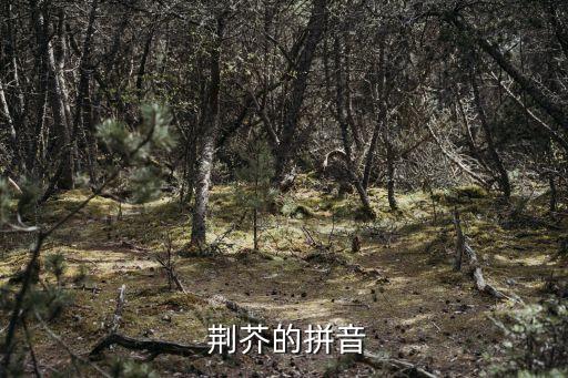 荊芥,荊芥知多少?