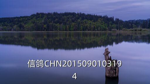 信鴿CHN2015090103194