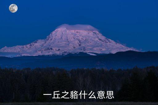 一丘之貉什么意思