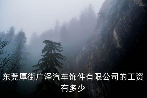 東莞廣澤汽車飾件有限公司官網(wǎng)，東莞厚街廣澤汽車飾件有限公司的工資有多少