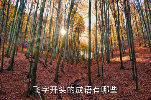 飛字開頭的成語有哪些