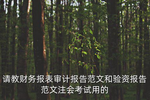 請教財務報表審計報告范文和驗資報告范文注會考試用的
