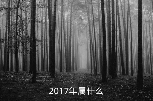 2017年屬什么
