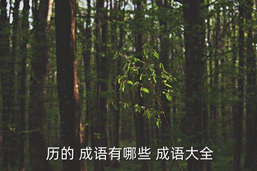 歷的成語,用日歷記錄過時事物或舊經(jīng)歷