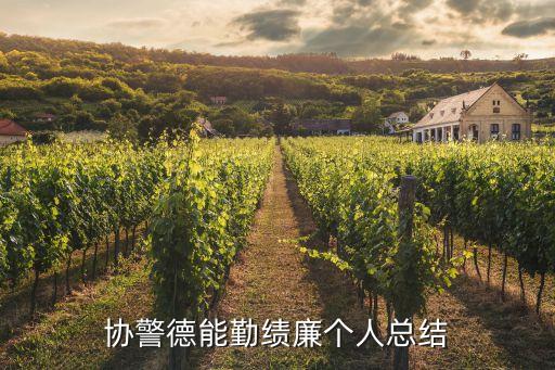 德能勤績廉個人工作總結，通常工作總結中的德能勤績廉中的勤指的是什么