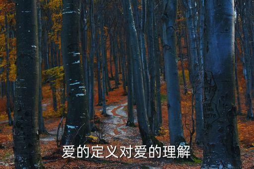 對愛的理解，你對愛怎么理解