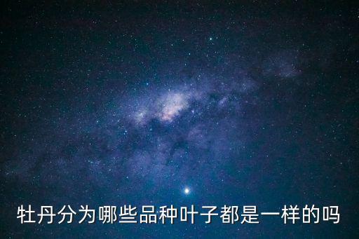 牡丹分為哪些品種葉子都是一樣的嗎