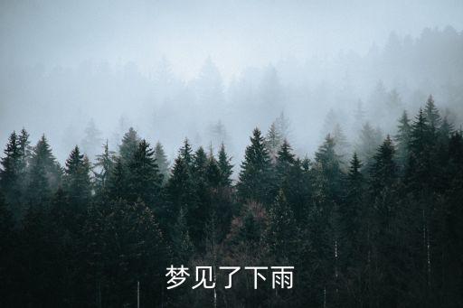 夢見下雨天，周公解夢夢見下雨