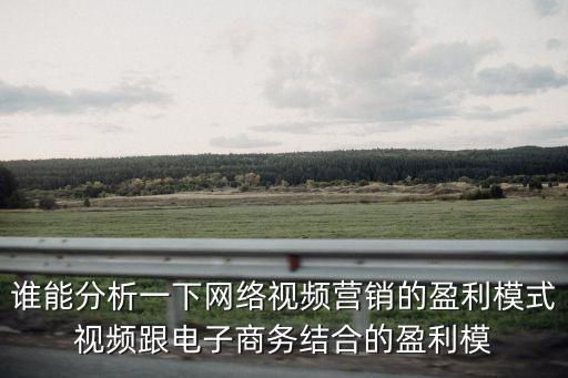 誰能分析一下網絡視頻營銷的盈利模式視頻跟電子商務結合的盈利模