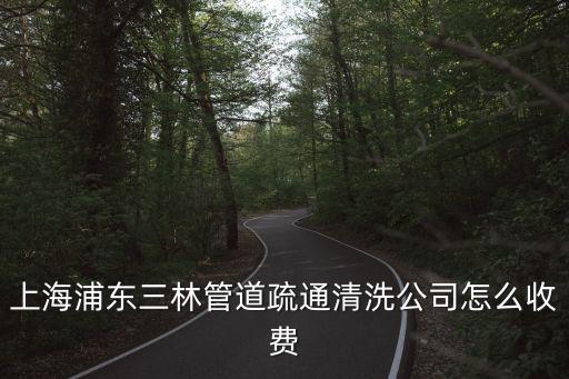 上海市政管道清洗價格，上海疏通下水管道的價格是多少錢