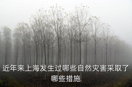 上海市第一次自然災害，上海1的 靈魂和災難價格
