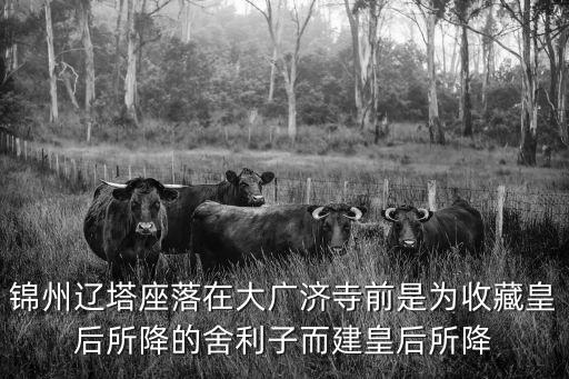 廣濟寺塔，錦州遼塔座落在大廣濟寺前是為收藏皇后所降的舍利子而建皇后所降