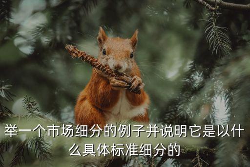 舉一個市場細分的例子并說明它是以什么具體標準細分的