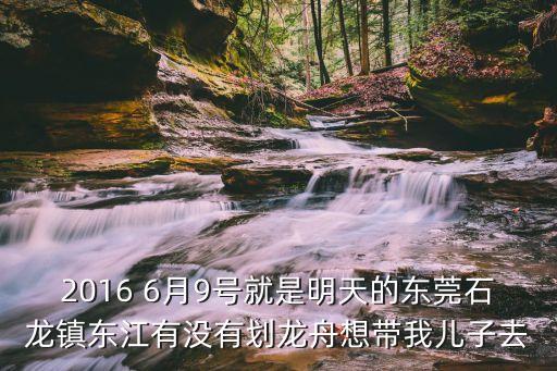 2016 6月9號就是明天的東莞石龍鎮(zhèn)東江有沒有劃龍舟想帶我兒子去