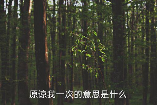 原諒我一次的意思是什么