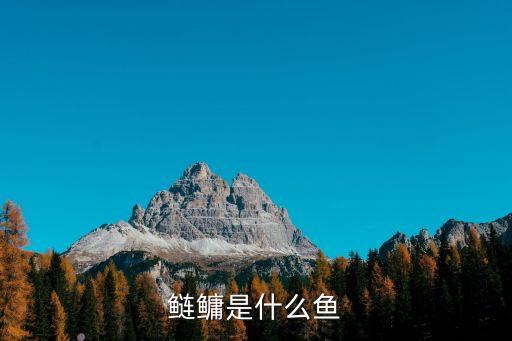 鰱鳙，肥水塘的鰱鳙怎么釣