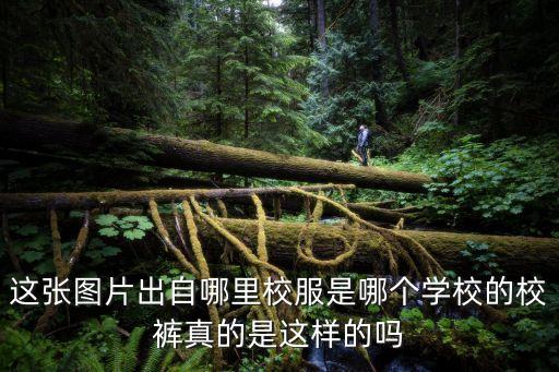 東莞東華老師胡立英，同事的孩子去年上了東莞景鴻匯順外語班之后成績進步很快聽說是老
