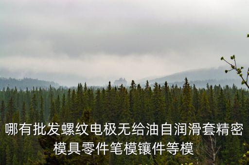 哪有批發螺紋電極無給油自潤滑套精密模具零件筆模鑲件等模