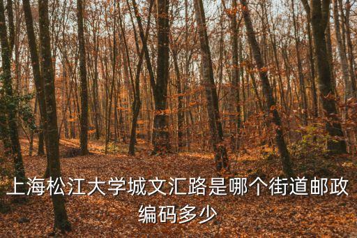 上海市南苑街文匯路，上海松江大學(xué)城文匯路是哪個(gè)街道郵政編碼多少