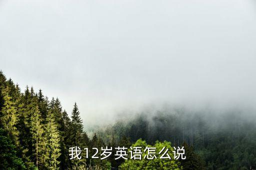 我12歲英語怎么說