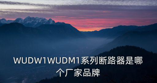 WUDW1WUDM1系列斷路器是哪個廠家品牌