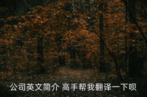 公司介紹英文，公司簡介急需英語翻譯求推薦一下子