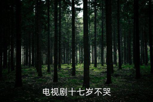 電視劇十七歲不哭