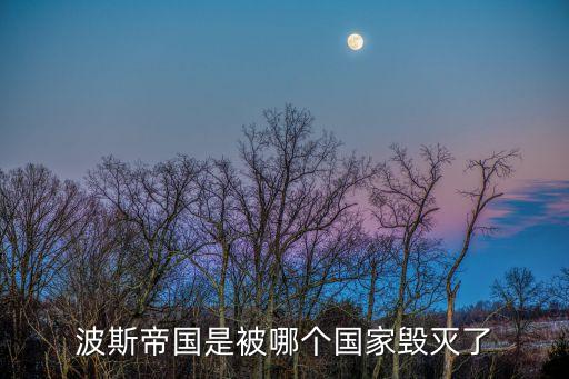 波斯帝國是被哪個國家毀滅了