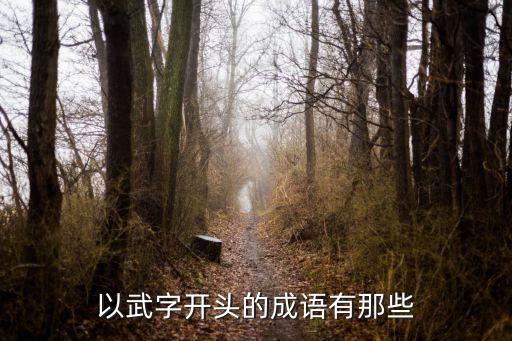 以武字開頭的成語有那些